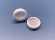 Infusion Disc Filter 50uM Nylon Mesh OD15.7×H3.0mm White PA6 Rim