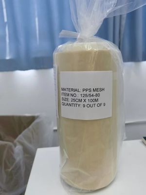 High Temperature Resistance and Chemical Resistance Polyphenylene Sulfide PPS Mesh